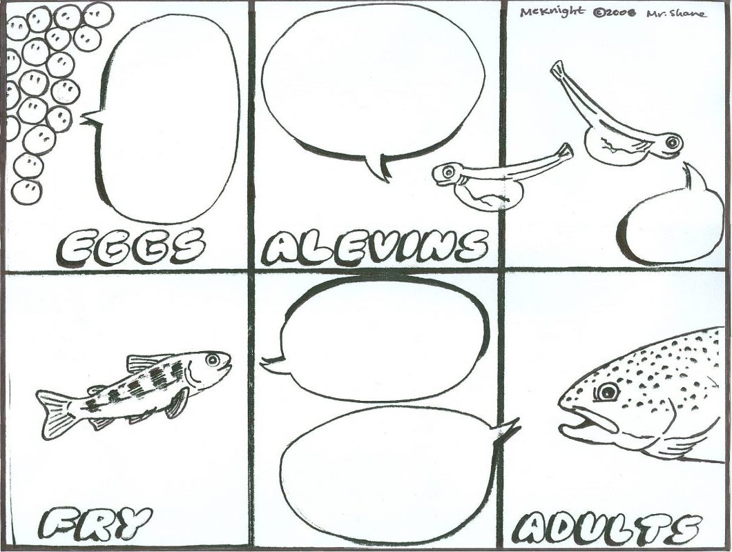 Trout Life Cycle Comic Trout in the Classroom