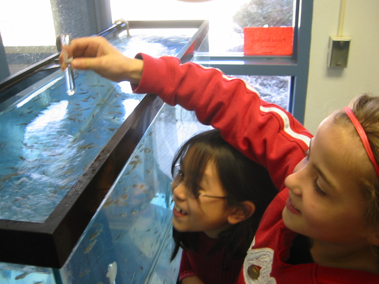 About Trout in the Classroom