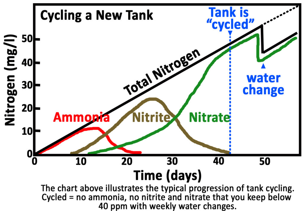 Preparing Your Tank: Pre-Cycling – Trout in the Classroom