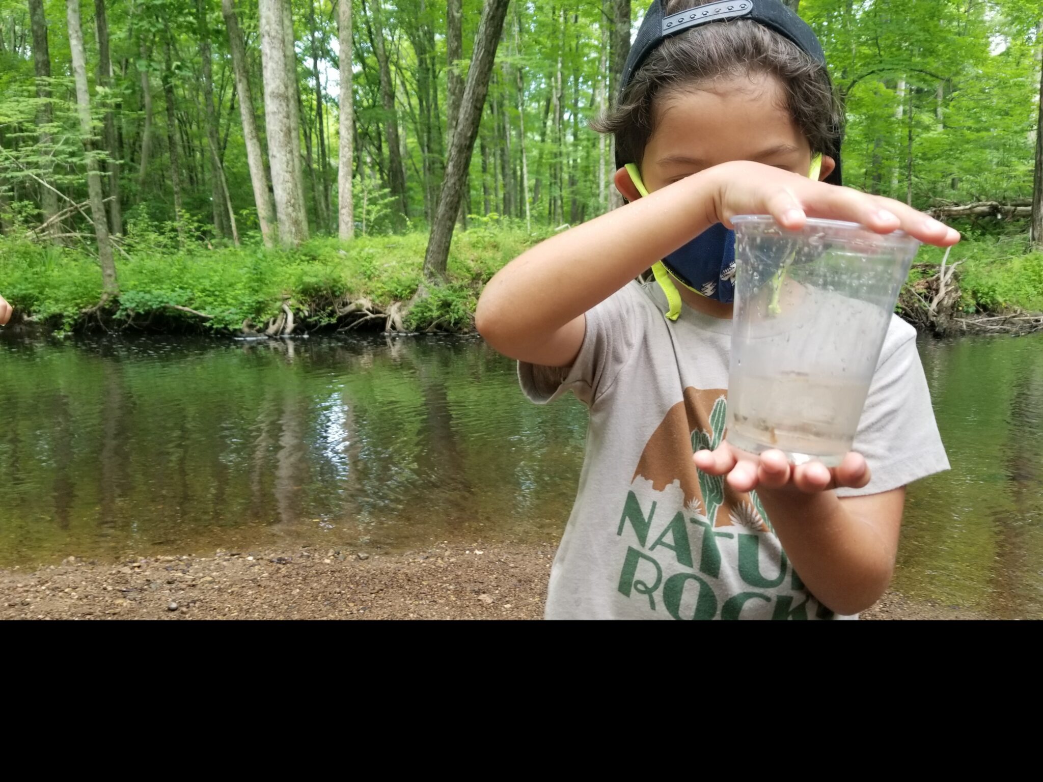 Trout Release Questions for Students Trout in the Classroom
